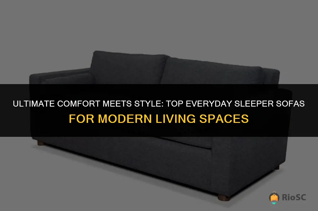 best everyday sleeper sofa