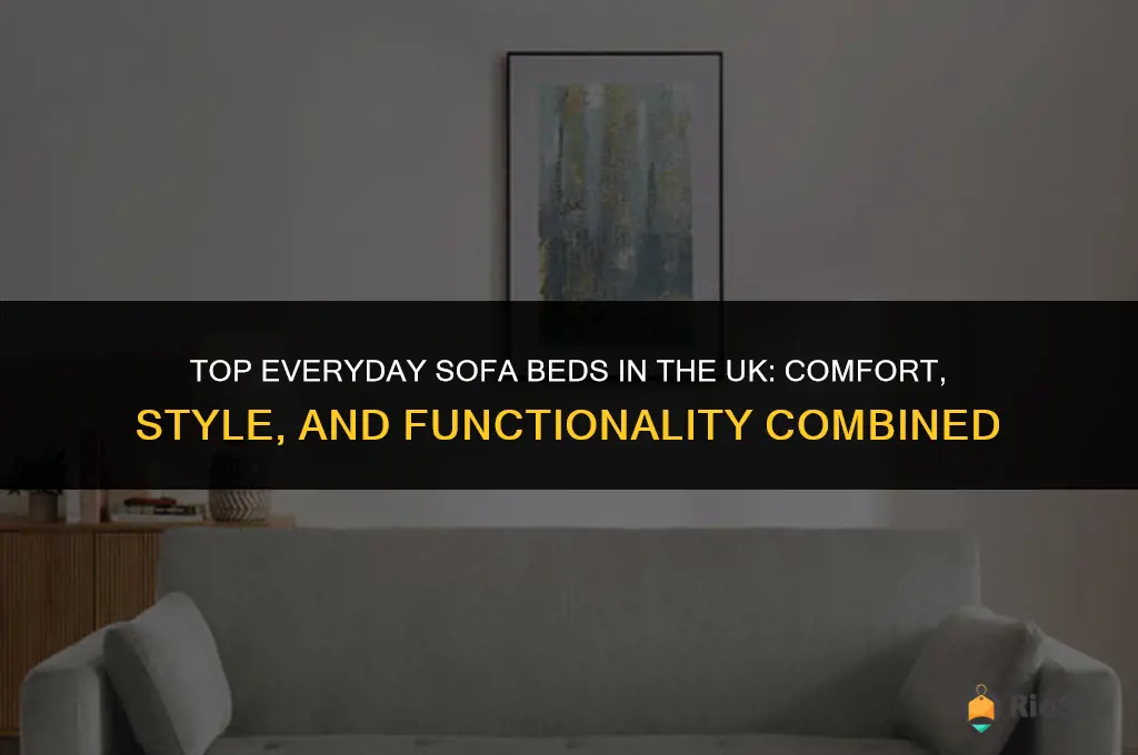 best everyday sofa bed uk