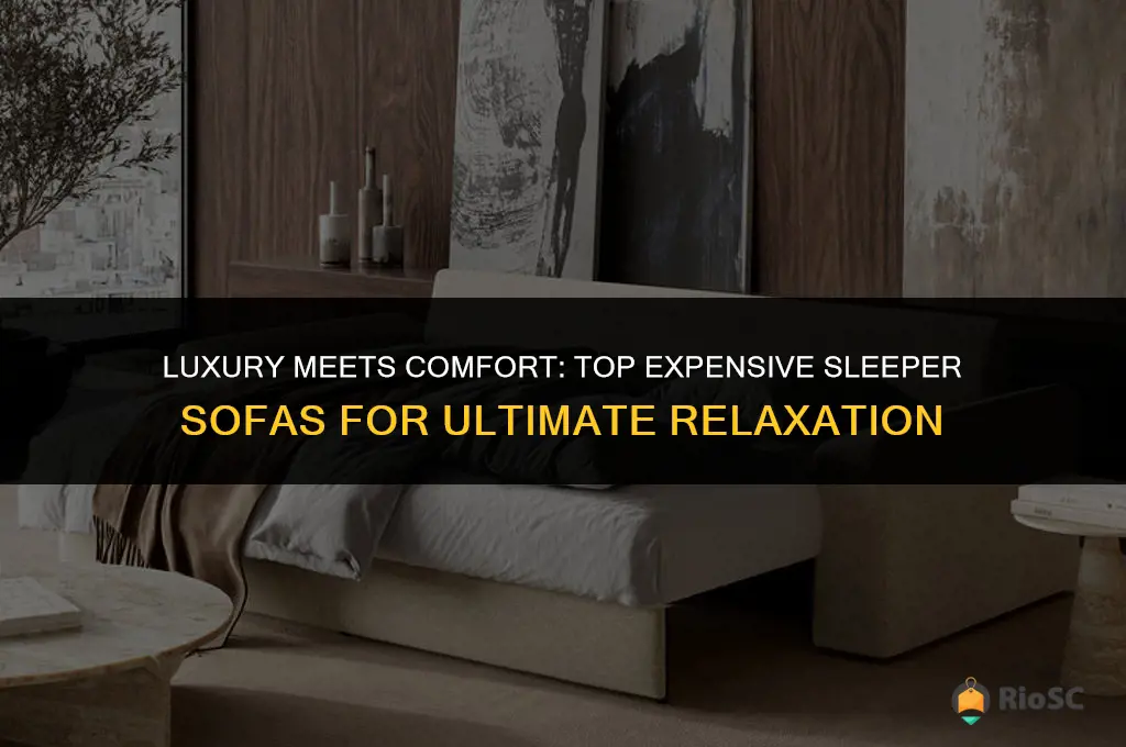 best expensive sleeper sofa