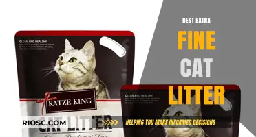 Top Picks for Extra Fine Cat Litter: Premium Options for a Clean and Comfortable Litter Box