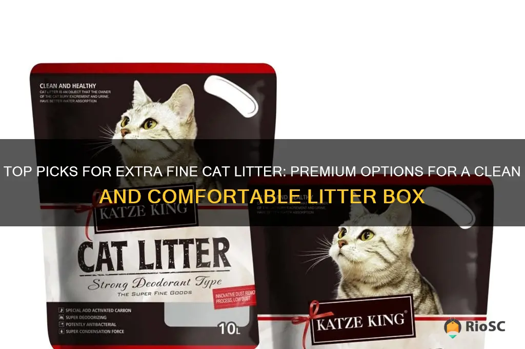 best extra fine cat litter