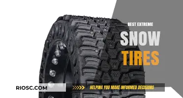 Conquer the Winter Wonderland: Top Picks for Extreme Snow Tires