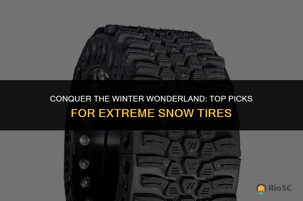 best extreme snow tires