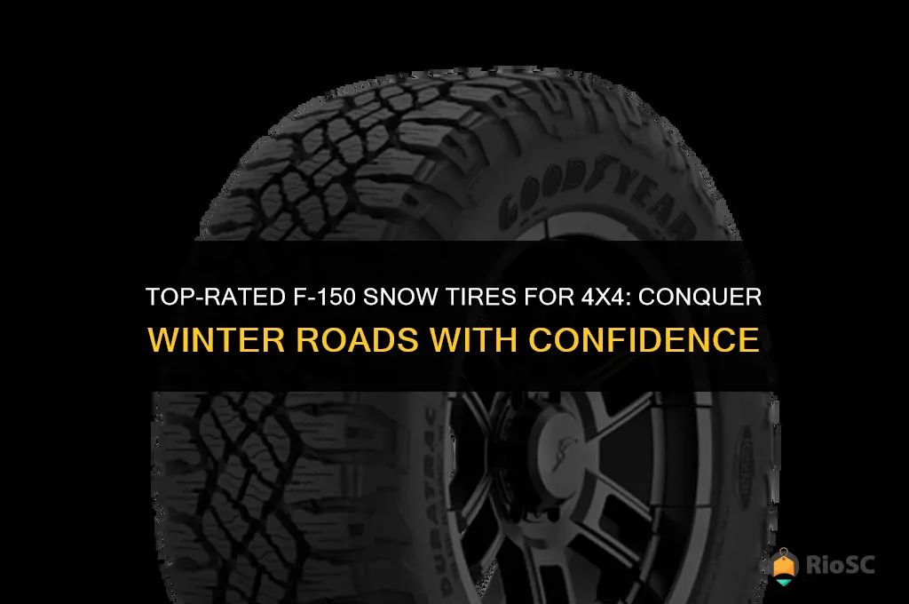 best f150 snow tires 4x4