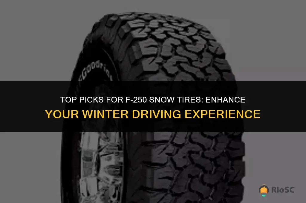 best f250 snow tires