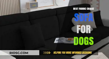 Pet-Friendly Comfort: Top Fabric Chaise Sofas for Dogs and Their Owners