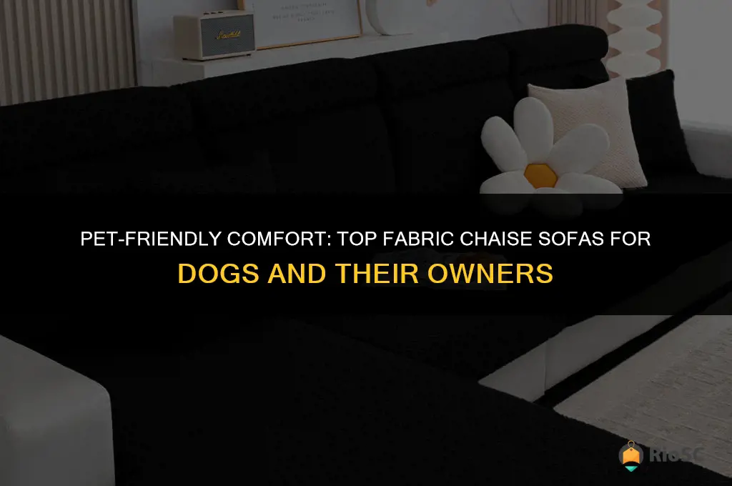 best fabric chaise sofa for dogs