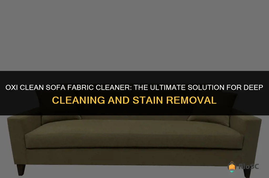 best fabric cleaner sofa oxi clean