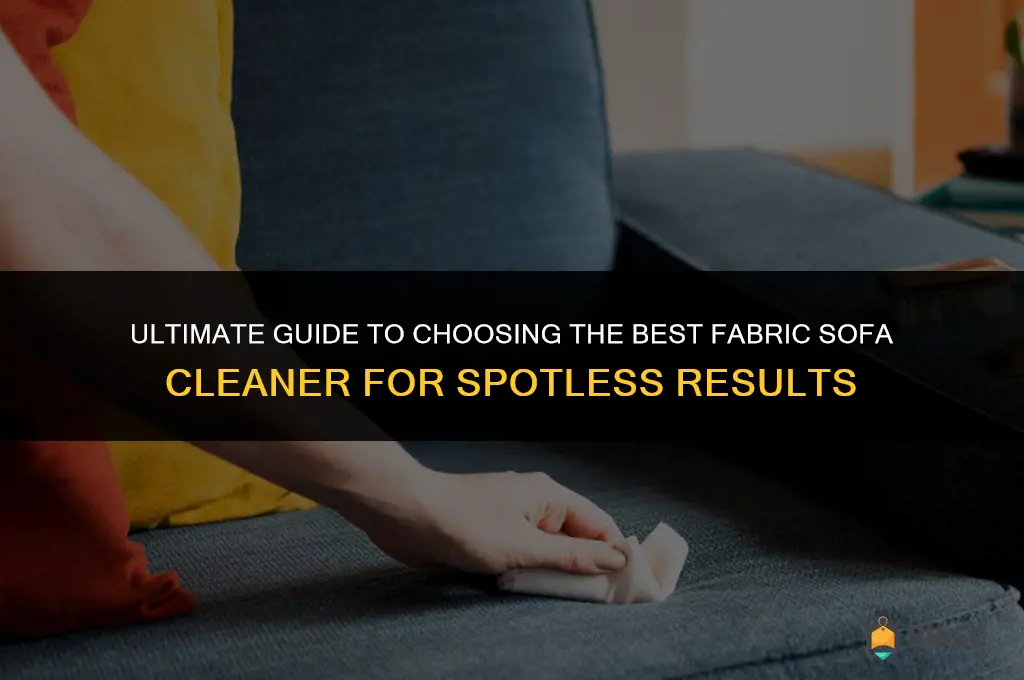 best fabric cleaner sofa