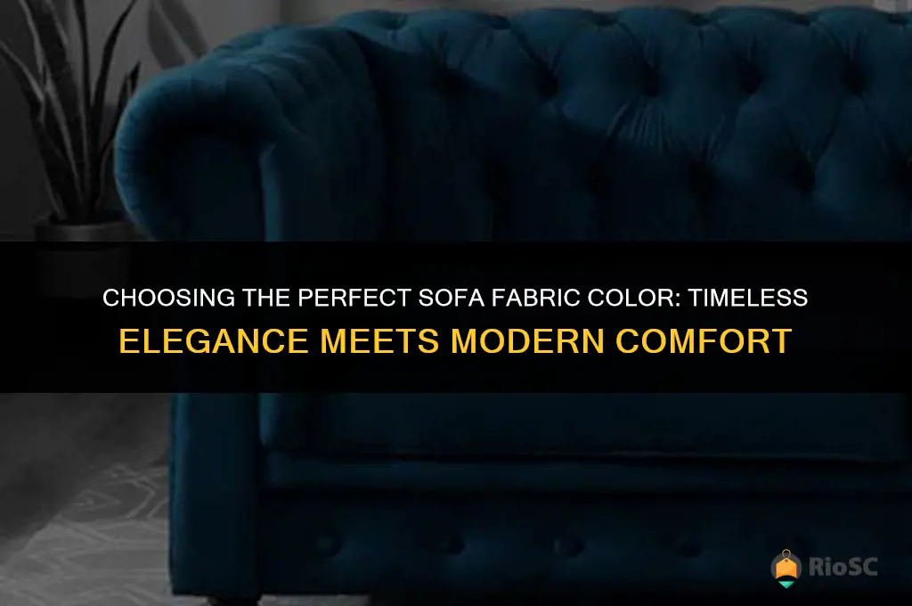best fabric colour for sofa
