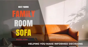 Ultimate Guide to Choosing the Best Fabric for Your Family Room Sofa: Durability, Comfort, and Style