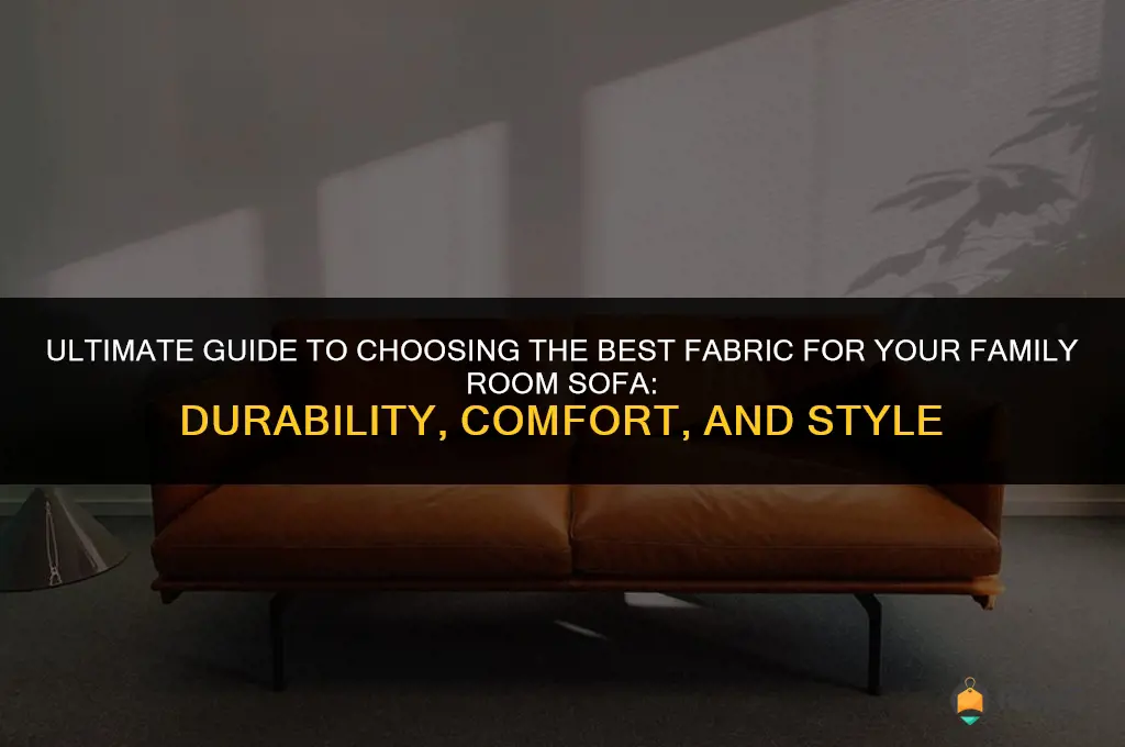 best fabric family room sofa