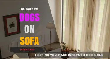 Pet-Friendly Comfort: Choosing the Best Fabric for Dogs on Your Sofa