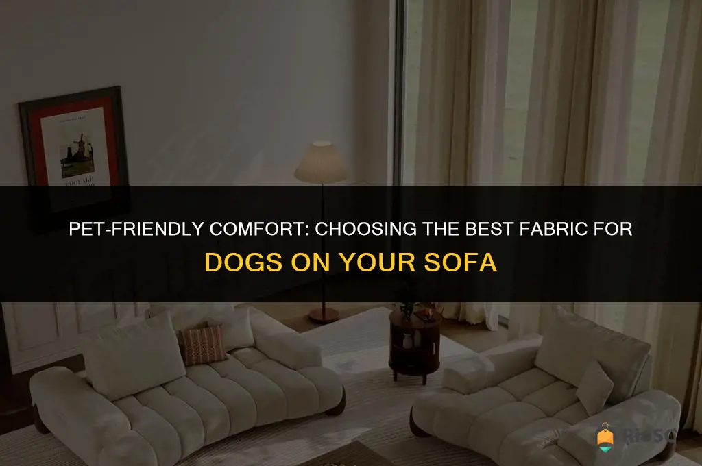 best fabric for dogs on sofa