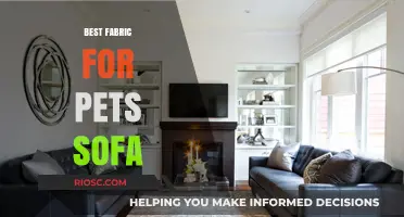 Pet-Friendly Sofa Fabrics: Top Choices for Durability, Comfort, and Easy Cleaning