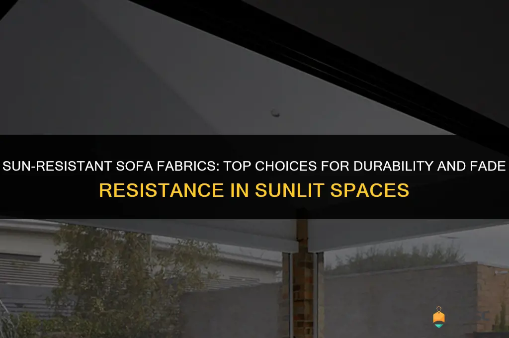 best fabric for sofa exposed to sun and light