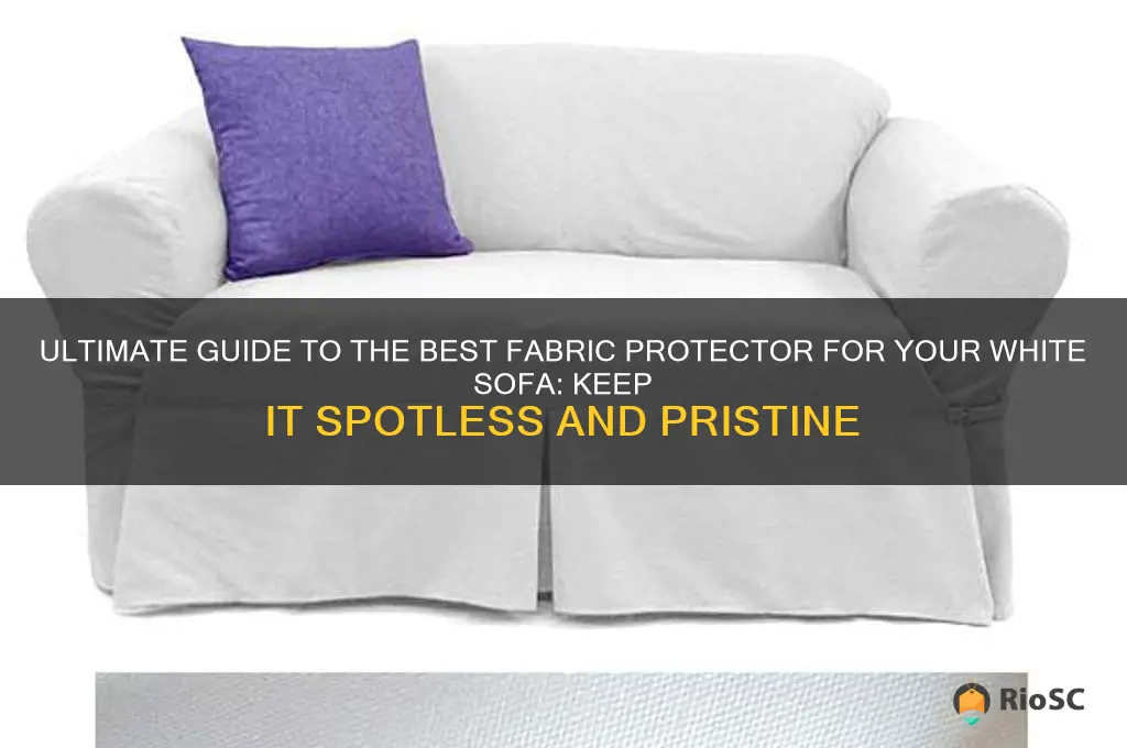 best fabric protector for white sofa