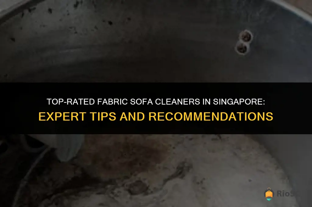 best fabric sofa cleaner singapore