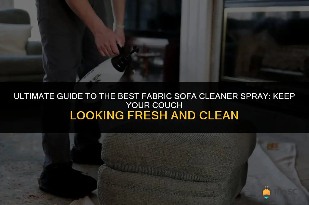 best fabric sofa cleaner spray