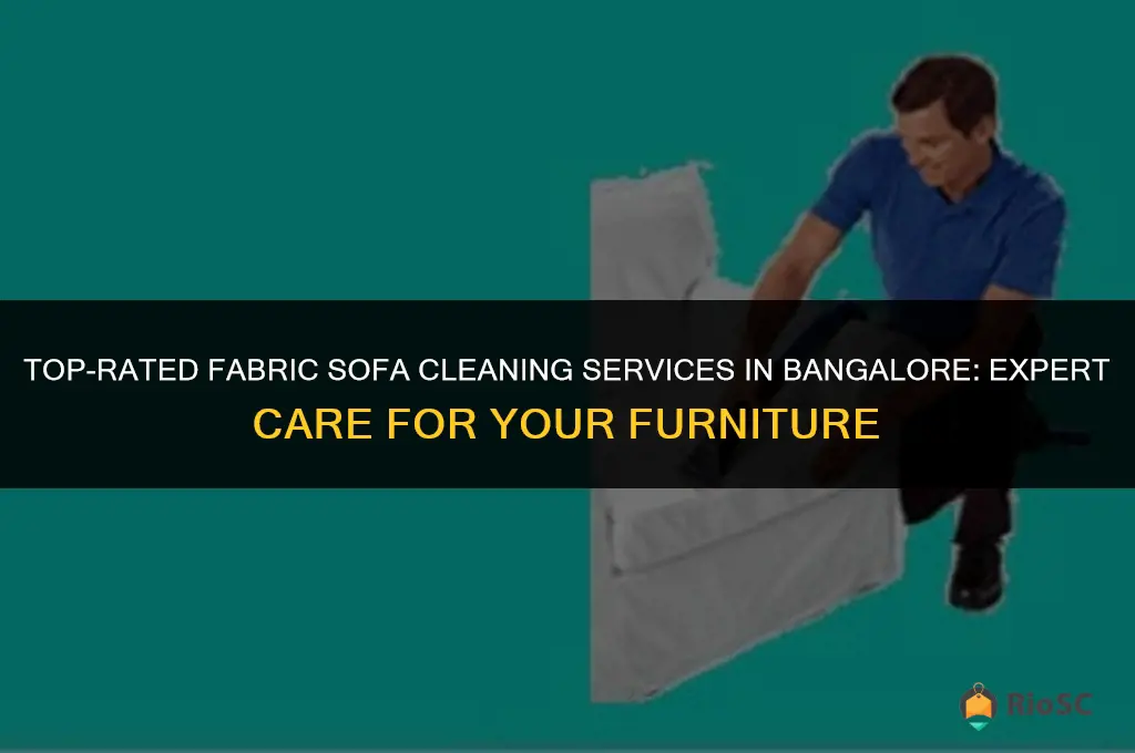 best fabric sofa cleaning services in bangalore