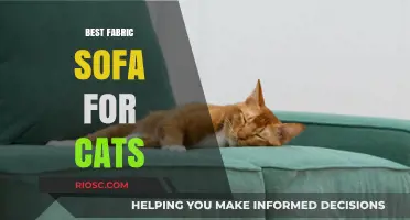 Cat-Friendly Comfort: Top Fabric Sofas That Resist Scratches and Shedding