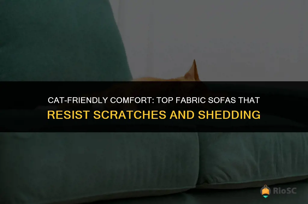 best fabric sofa for cats