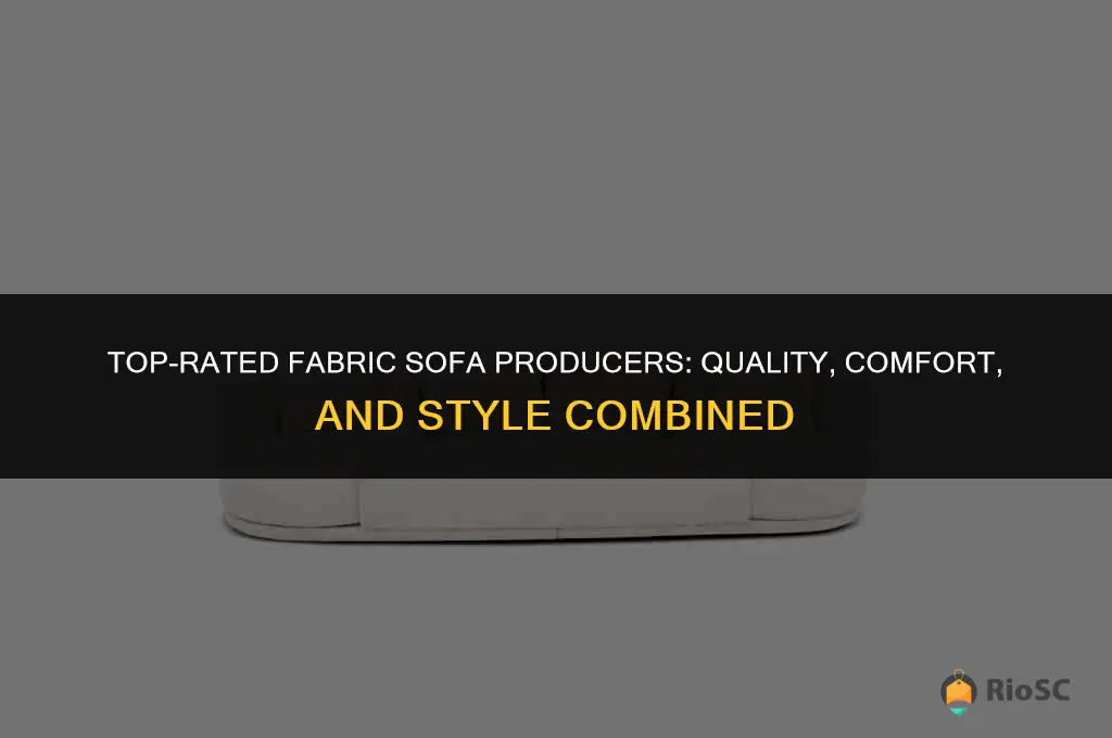 best fabric sofa producer