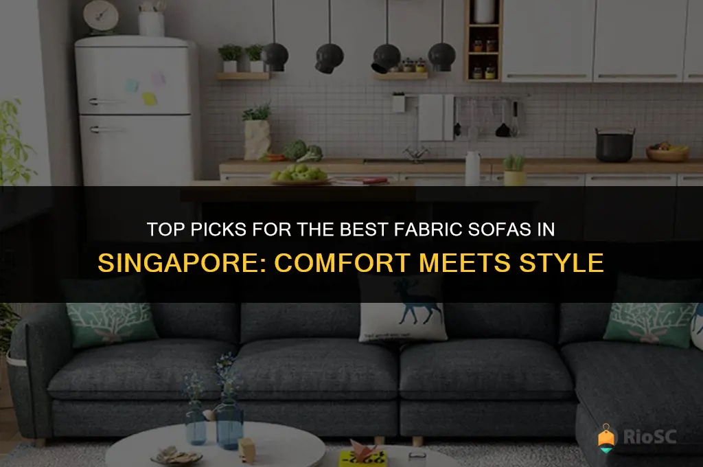 best fabric sofa singapore