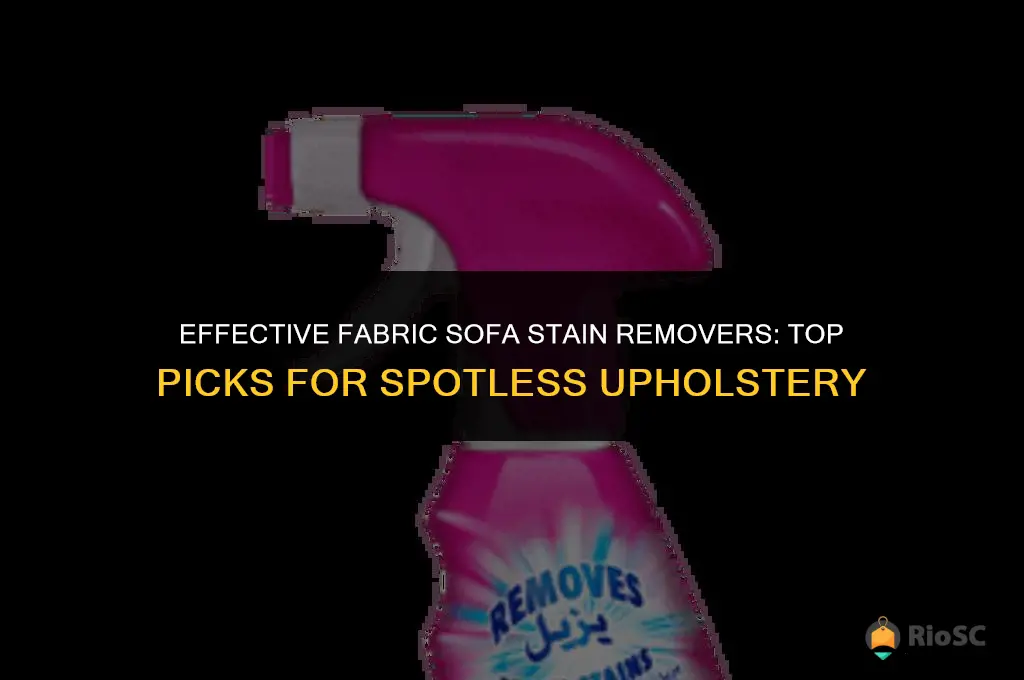best fabric sofa stain remover