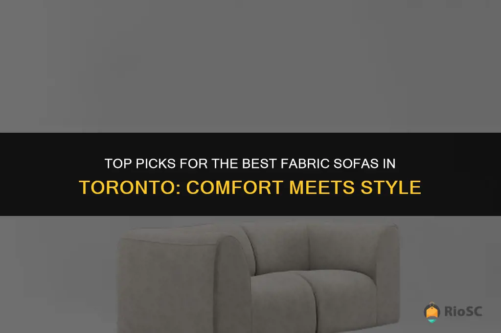 best fabric sofa toronto