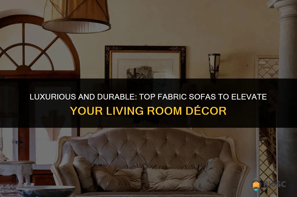 best fabric sofas for living room