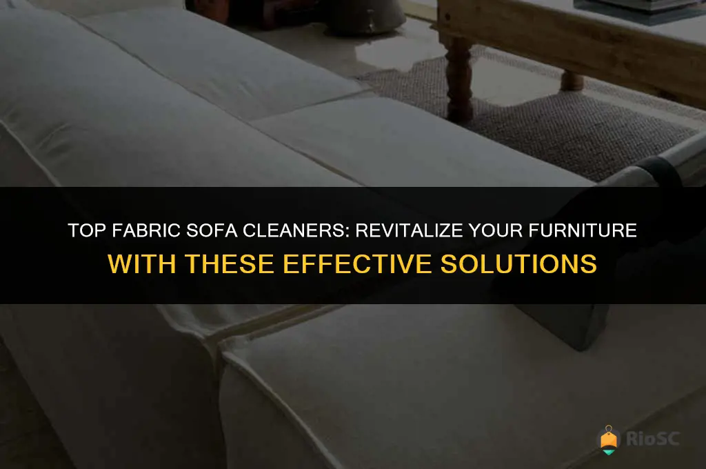 best fabrick sofa cleaners