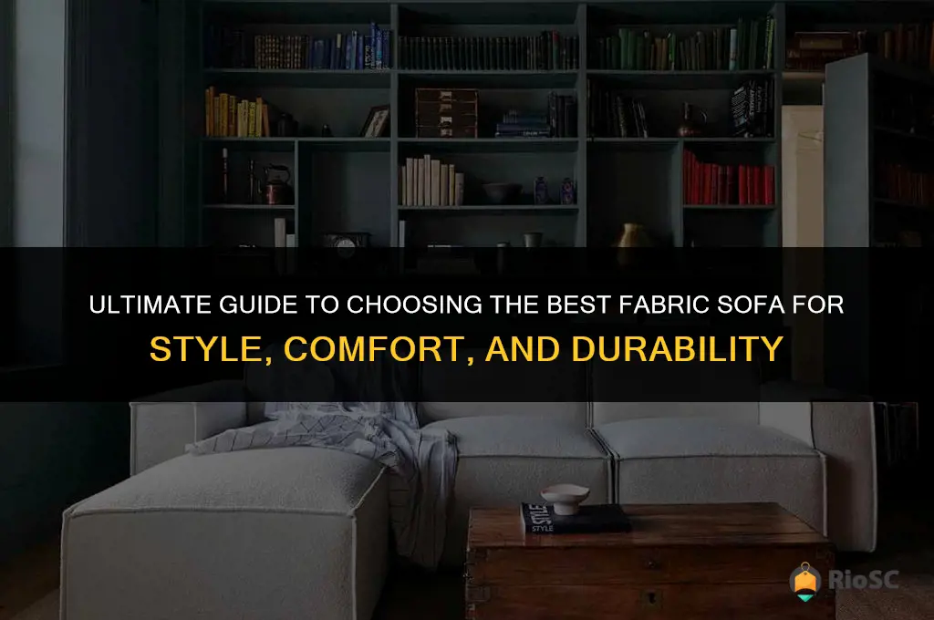 best fabrick sofa