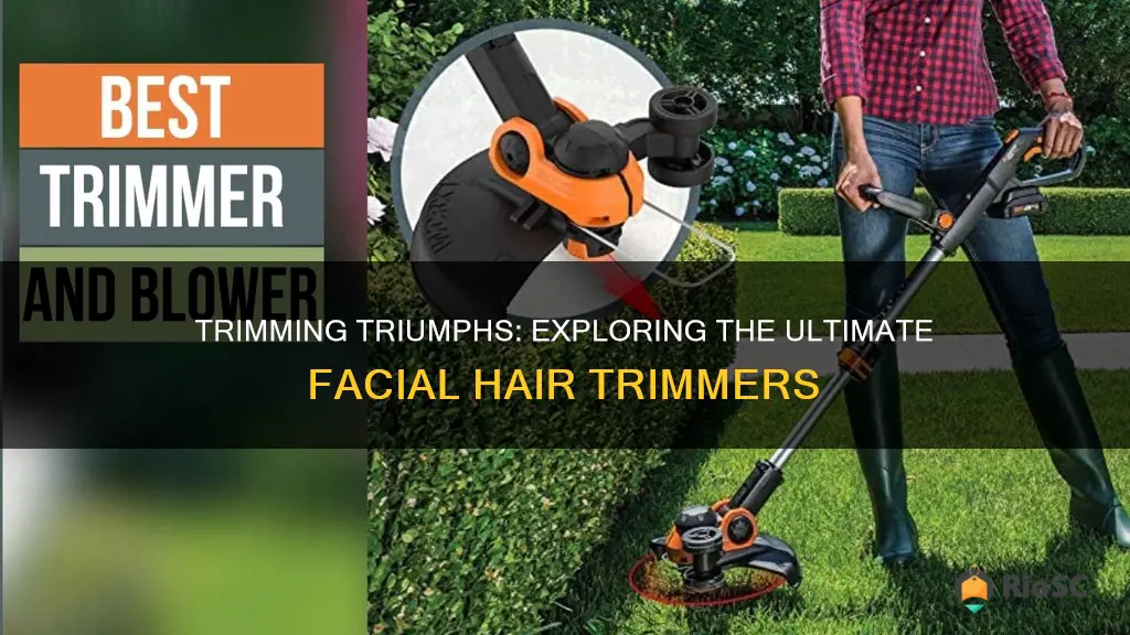 best facial hair trimmer reviews