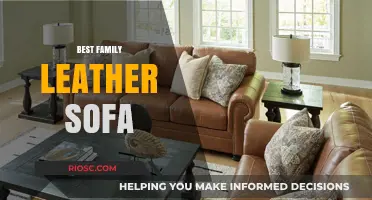 Luxurious and Durable: The Ultimate Guide to Choosing the Best Family Leather Sofa
