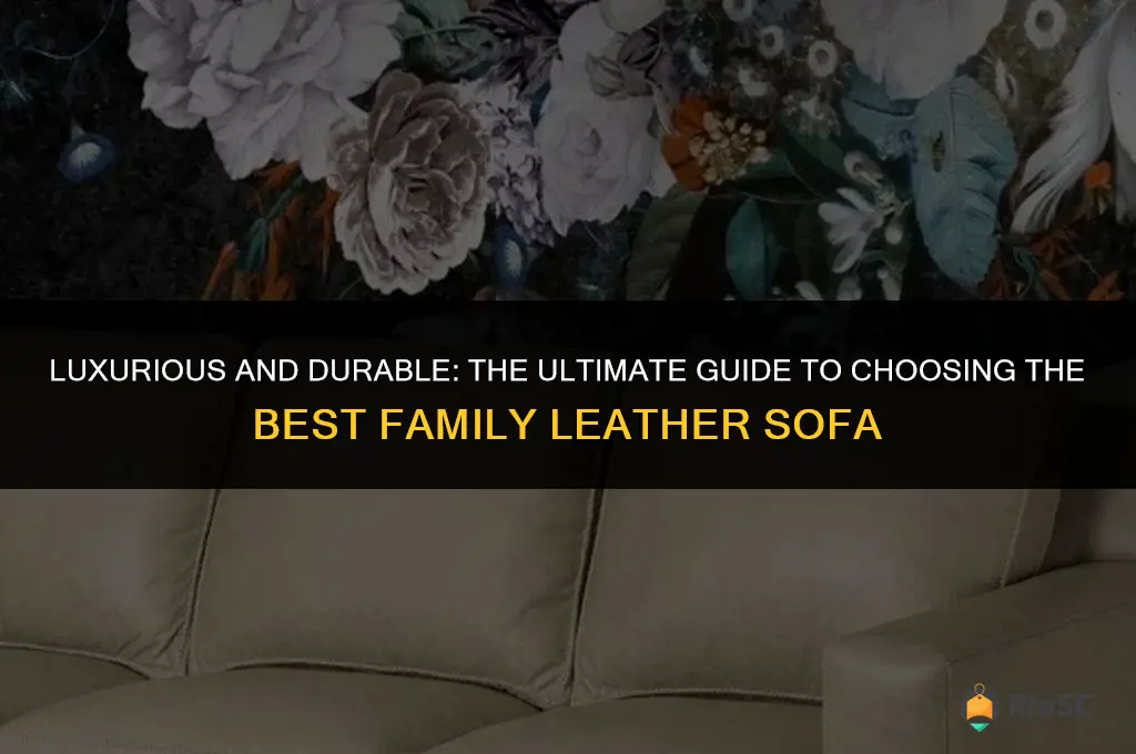 best family leather sofa