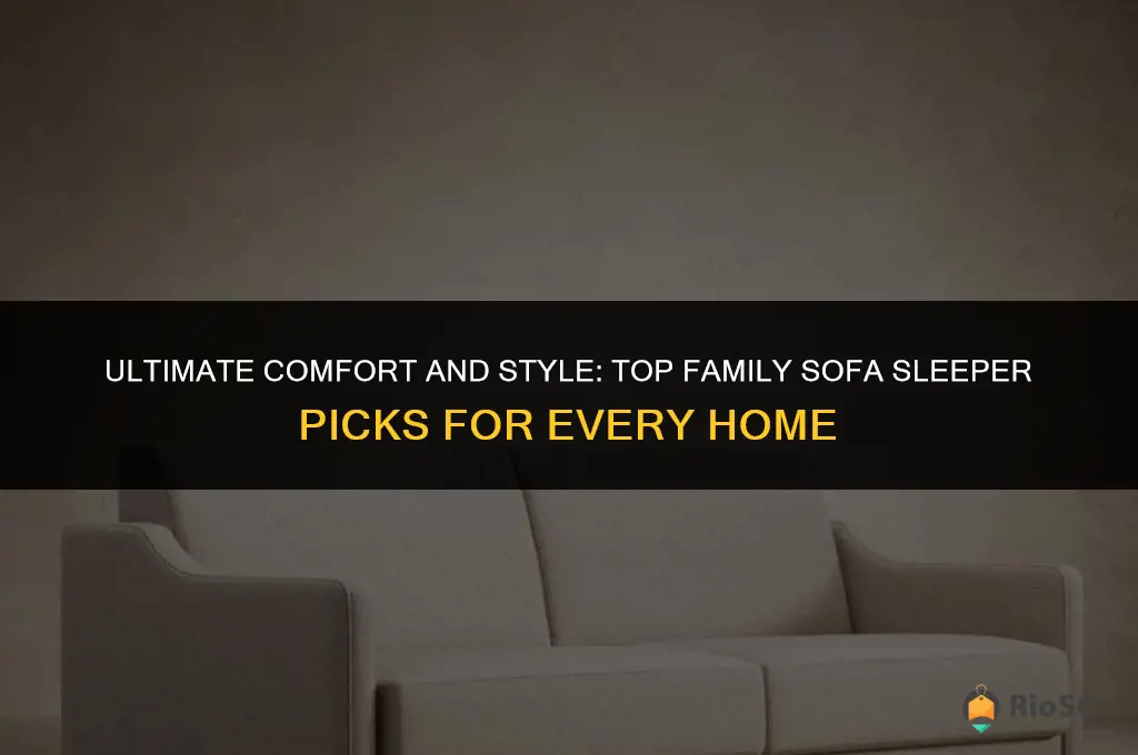 best family sofa sleeper