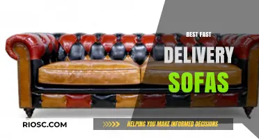 Top Fast Delivery Sofas: Stylish and Speedy Options for Your Living Space