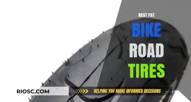 Top Fat Bike Road Tires for Smooth and Efficient Riding