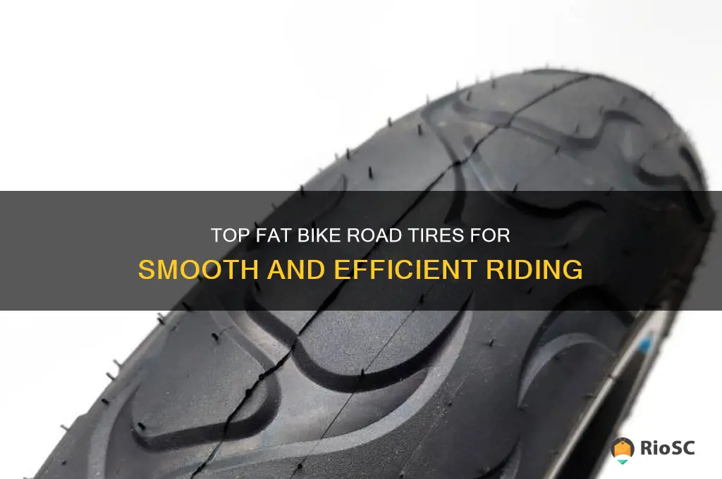 best fat bike road tires