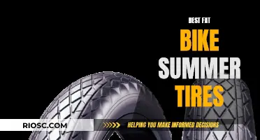 Fat Bike Revolution: Unveiling the Ultimate Summer Tires
