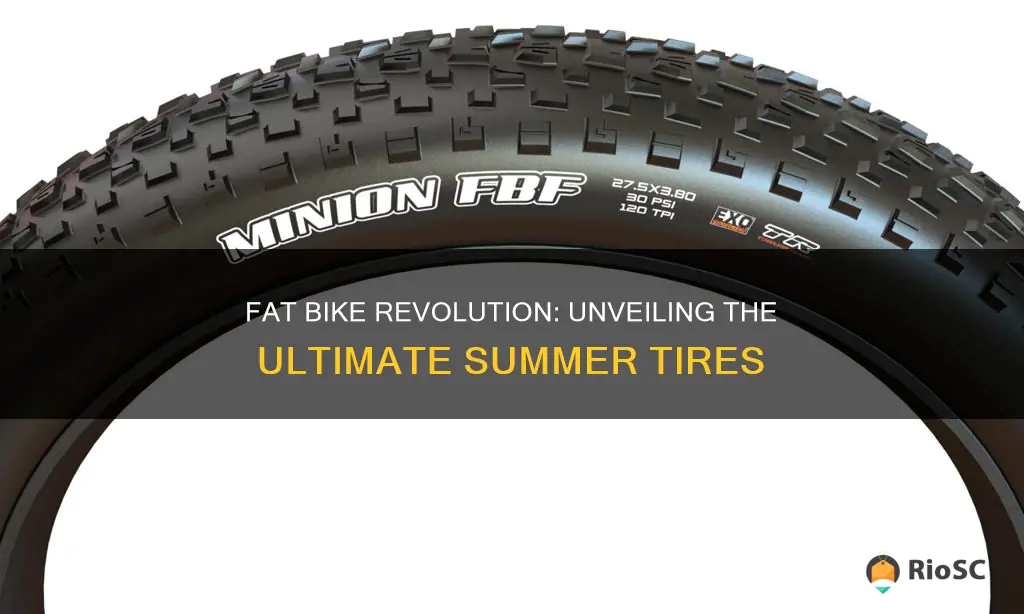 best fat bike summer tires
