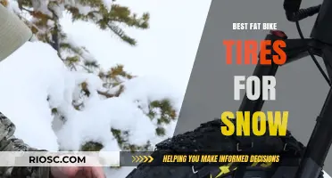 Conquering Winter Trails: Top Fat Bike Tires for Snow Riding