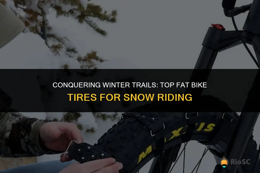 best fat bike tires for snow