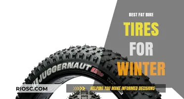 Winter Warriors: Top Fat Bike Tires for Snowy Adventures