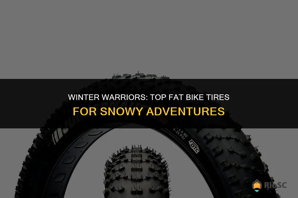 best fat bike tires for winter
