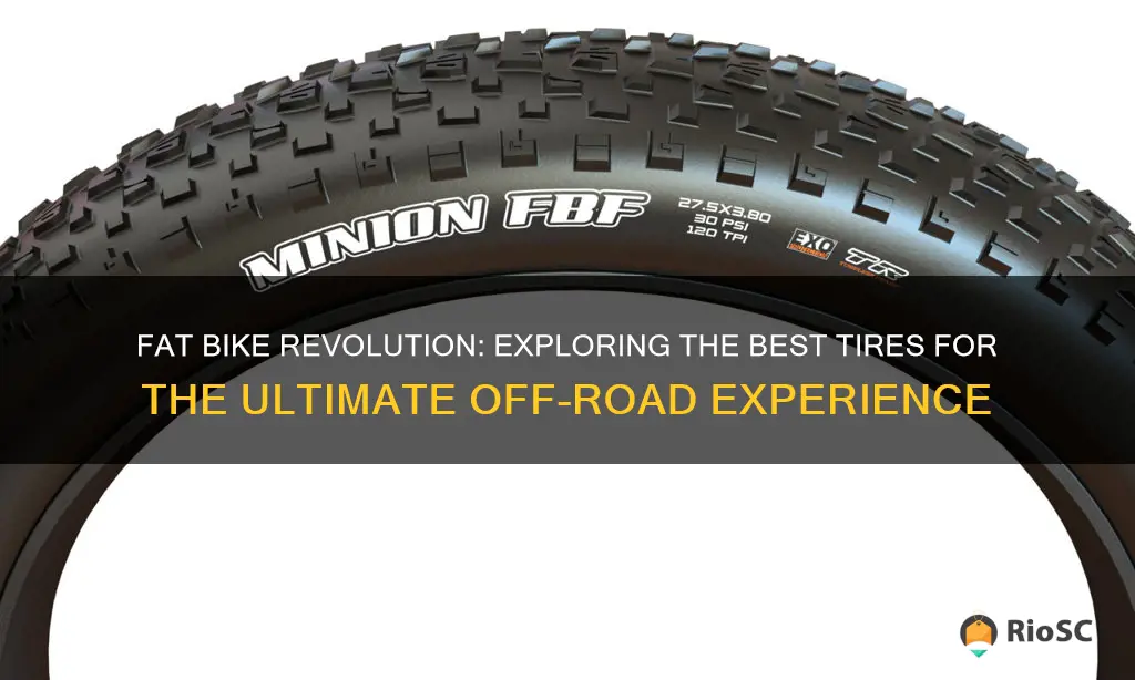 best fat bike tires