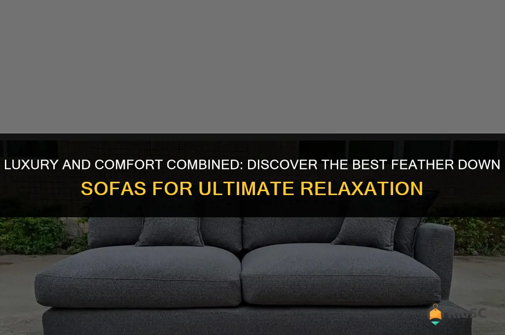 best feather down sofa