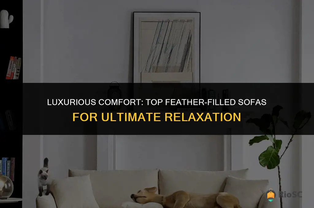 best feather filled sofas