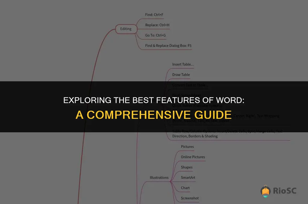 best feature sof word